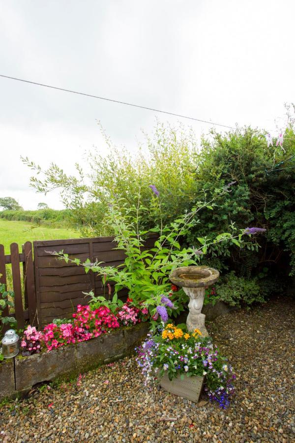 Goitre Bach Cottage Aberaeron Exterior foto