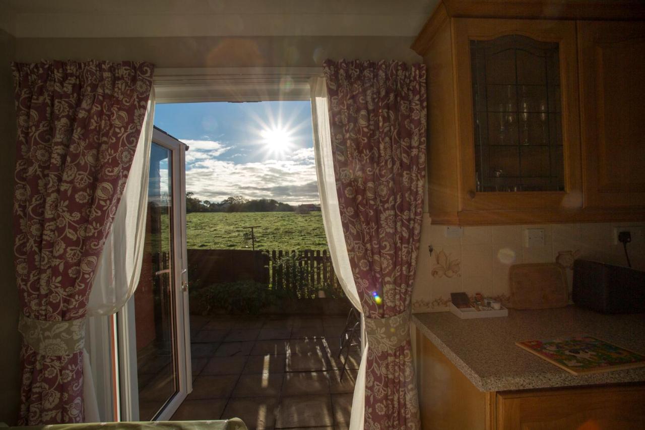 Goitre Bach Cottage Aberaeron Exterior foto